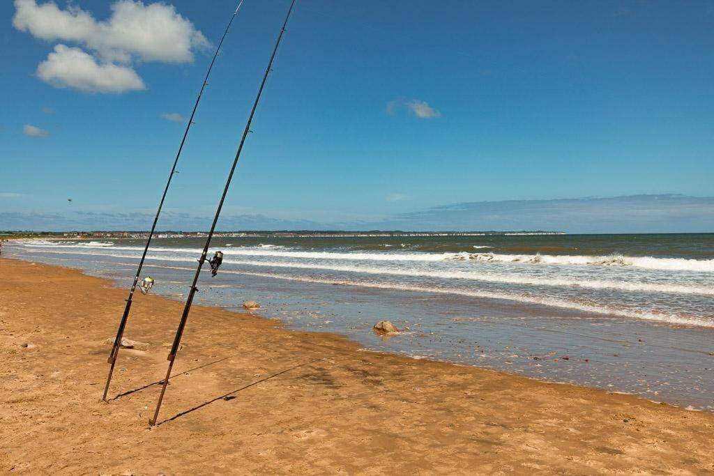 Beachfront Apartment - Ground Floor Apartment With Sea Views, Next To The Beach, Bridlington, North Yorkshire Bessingby Экстерьер фото